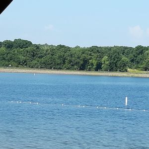 Meet your Posher, Dianne